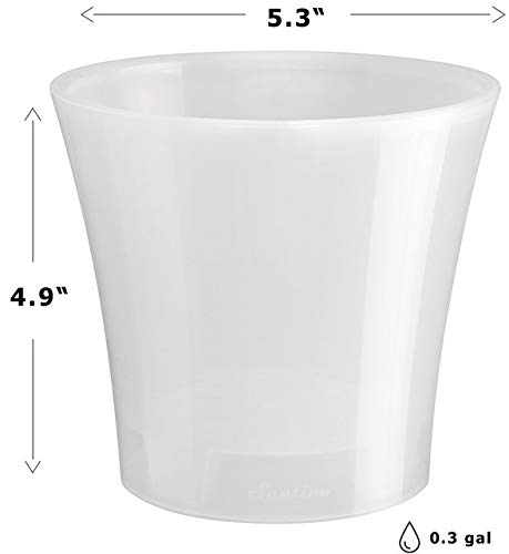 Santino Arte 5.3 in. Self-Watering Planter - color: Transparent, size: 5.3-Inch