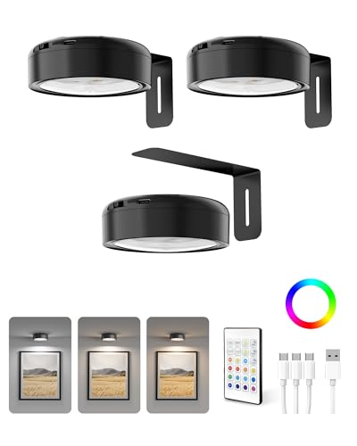Homelist 3 Pack Picture Lights for Wall, 2200mAh Rechargeable, Black - color: Black