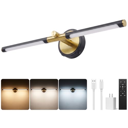 URSOLA 22" Picture Lights for Wall Battery Operated, Metal LED Art Light with Remote, 3CCT Dimmable Wireless Art Lighting for Paintings, Gallery Light, Over Picture Frame Light, Photo Lights for Wall.