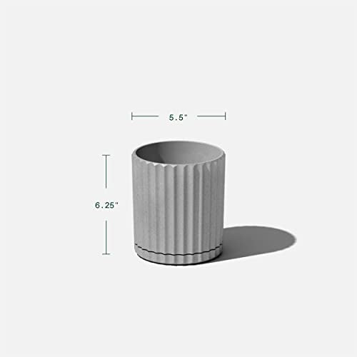 Veradek Demi Series Demi 6" Planter w/Tray - Grey, 2 Pack - color: Gray, size: 6 inch - 2 Pack