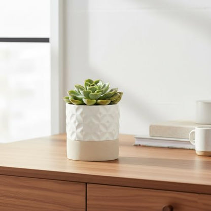 Nihow Self Watering Ceramic Plant Pot, 4.5 Inch, Matte White & Brown Star - color: Matte White & Brown Star, size: 4.5" Self Watering