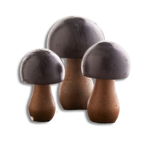 Your Heart's Content Dark Black Wood Mushrooms, Set of 3 (Black Paint 3) - color: Black 3