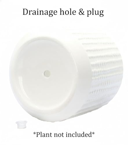 Ceramic Planter Pot with Drainage Hole, 5 Inch Dia, Indoor and Outdoor, Home Patio Garden, Plants&Flowers, Textured Round (White) - style: Textured Round-White