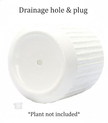 Ceramic Planter Pot with Drainage Hole, 5 Inch Dia, Indoor and Outdoor, Home Patio Garden, Plants&Flowers, Textured Round (White) - style: Textured Round-White