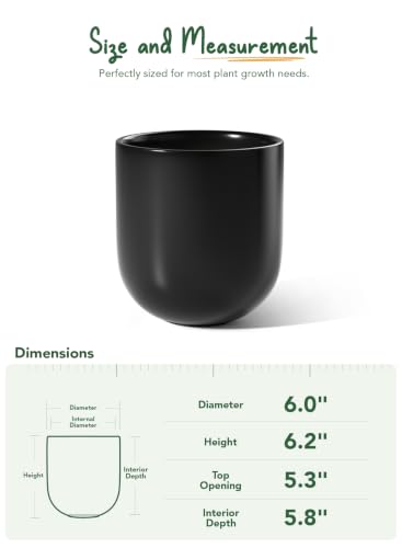 LE TAUCI 6 Inch Ceramic Plant Pot, Small Indoor Planter, Black - color: Black, size: 6”