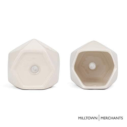 Succulent Wall Planters - Wall Vases - Black Ceramic Wall Mounted Planters - Succulent Plant Pots - Hanging Vases for Living Wall (2 Pack/Geometric/White) - color: Small White Geometric