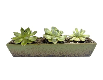 9.8inch Green Long Rectangle Ceramic Succulent Planter Pot,one Set of Mini Flower Plant Container with Bamboo Saucers. Product Size:9.8x2.35x1.77inch,not Include The Plant. - color: Green