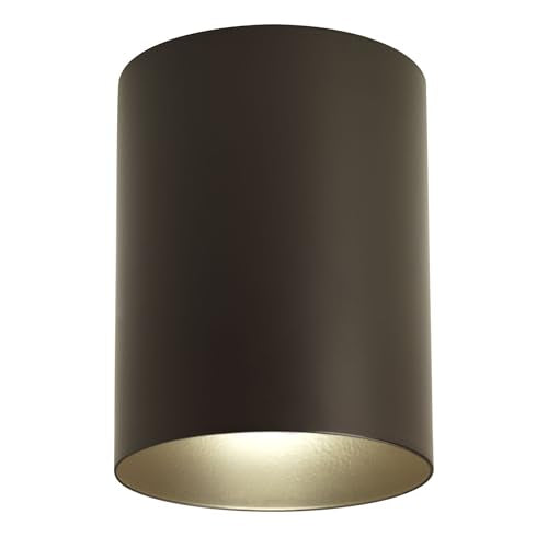 Progress Lighting 5-Inch Cylinder Outdoor Flush Mount Ceiling Light, Antique Bronze - color: Antique Bronze