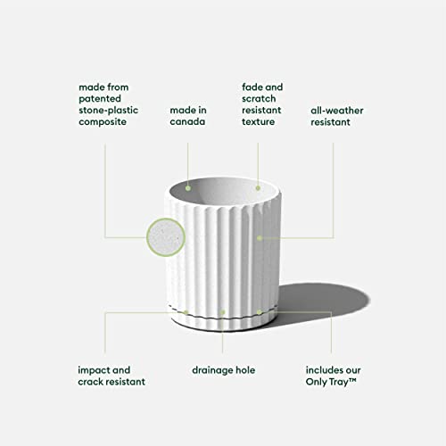 Veradek Demi Series Demi 6" Planter w/Tray - White, 2 Pack - color: White, size: 6 inch - 2 Pack