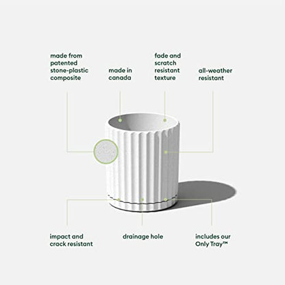 Veradek Demi Series Demi 6" Planter w/Tray - White, 2 Pack - color: White, size: 6 inch - 2 Pack