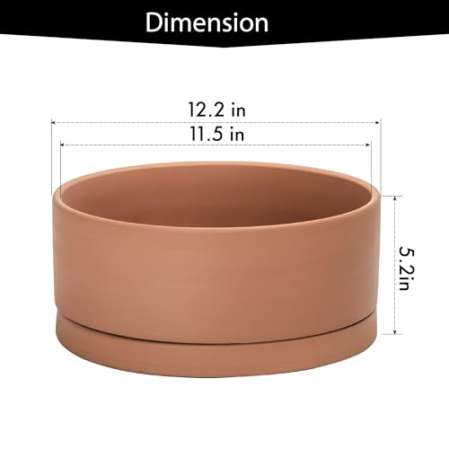 D'vine Dev Terracotta Shallow Planter Pot with Saucer, 12 in, 40-Y-C-0 - size: 12 Inch