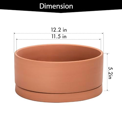 D'vine Dev Terracotta Shallow Planter Pot with Saucer, 12 in, 40-Y-C-0 - size: 12 Inch