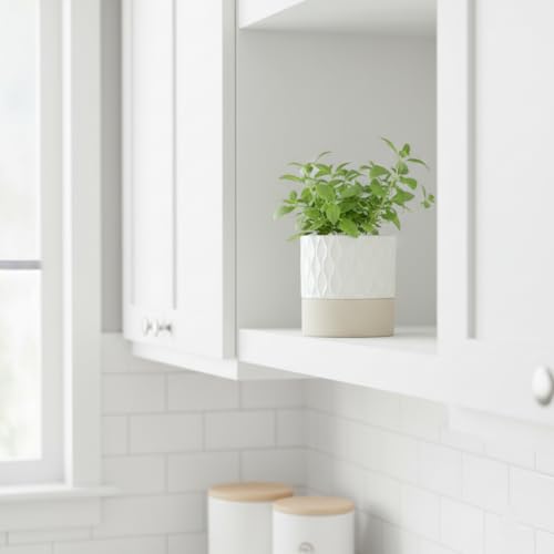 Nihow Self Watering Ceramic Plant Pot, 4.5 Inch, Cream White & Brown Net - color: Cream White & Brown Net, size: 4.5" Self Watering
