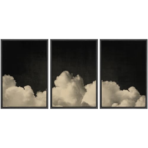 MUDECOR Framed Canvas Print Wall Art Dramatic Cloudscape Black and Beige Sky Illustrations Realism Decorative for Living Room, Bedroom, Office - 16"x24"x3 Black - color: A07-2502-pai05, size: 16"x24"x3 Panels Black