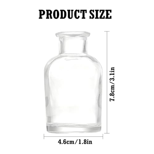20 Pcs Glass Bud Vase in Bulk, Glass Bottles Table Decoration