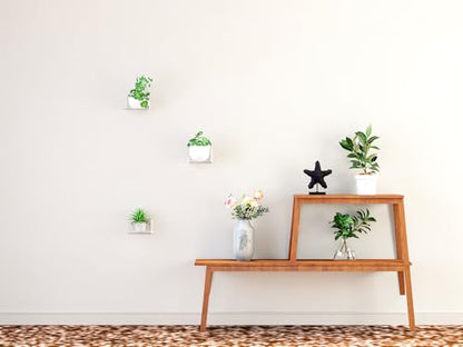 Small Wall Shelf, Acrylic Wall Shelves Display Ledges for Storage & Decoration, Small Floating Shelf for Wall (3)