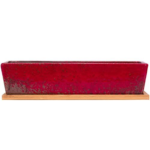 Succulent Pots - 12.1 Inch Large Succulent Planters with Drainage Tray - color: Red
