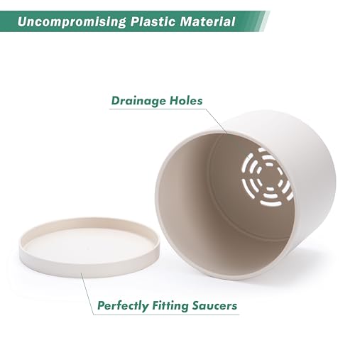 D'vine Dev Plastic Planter Pot with Saucer, 8 in, Oatmeal, 74-X-H-1 - color: Oatmeal, size: 8"