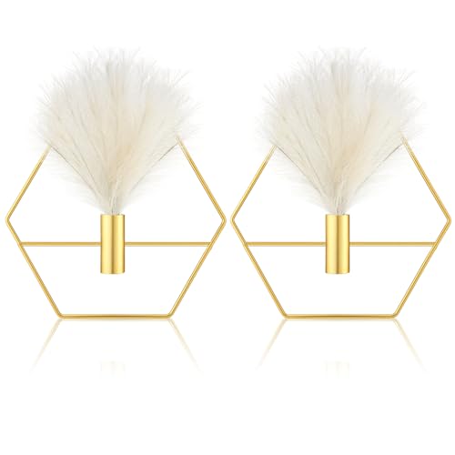 Peryiter 2 Pcs Gold Wall Decor Boho Pampas Metal Hanging Planters, Hexagon - style: Hexagon