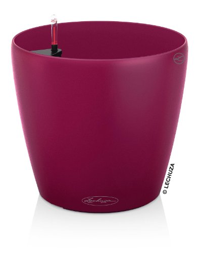 Lechuza 13185 Classico Color 21 Self-Watering Garden Planter for Indoor and Outdoor Use, Purple Garnet Matte - color: Purple Garnet Matte, style: 21
