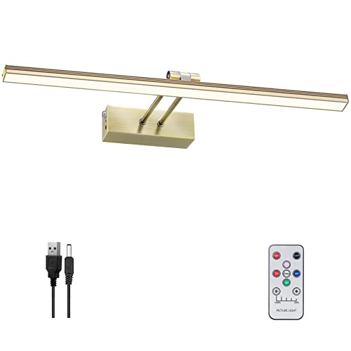 HEAGEERO Picture Lights for Wall,20in Gallery Light,5000mAh Art Light - color: Antique Brass-20"