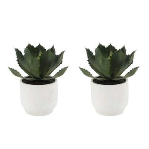 CG Hunter, Round Faux Succulent Arrangement, Set of 2, Home Decor - size: 10" Round Set-of-2