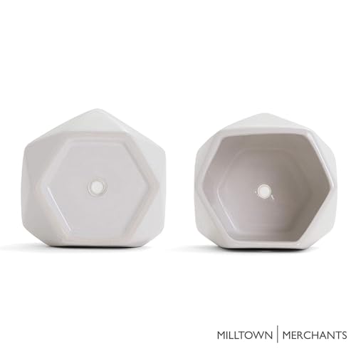 Succulent Wall Planters - Wall Vases - White Ceramic Wall Mounted Planters - Succulent Plant Pots - Hanging Vases for Living Wall (2 Pack/Geometric/White) - color: Geometric (White)