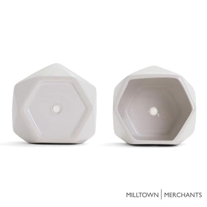 Succulent Wall Planters - Wall Vases - White Ceramic Wall Mounted Planters - Succulent Plant Pots - Hanging Vases for Living Wall (2 Pack/Geometric/White) - color: Geometric (White)