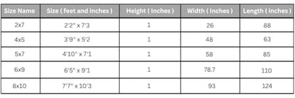 Modern Luna 3995 Geometric Living Room Rug - Area Rugs for Living Room Dining & Bedroom - Hand Carved Runner Carpet - Durable Polyester - Non-Fade Stain-Resistant - Turkish Made - color: Turquoise, size: 5' x 7' (Rectangular)