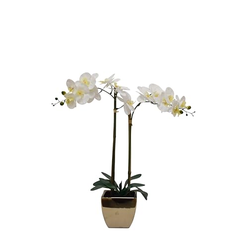 Nature's Elements Tabletop Artificial Orchid Flower (Soft Gold) - color: Soft Gold