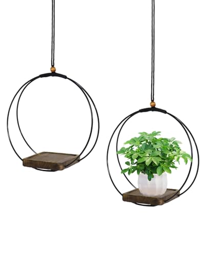 vensovo Hanging Planter for Indoor Plants, 2 Pack