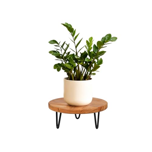 Wood Plant Stand, Wooden Round Plant Stand for Indoor Plants, Modern Plant Holder for Succulent Plant Nursery Pot Flower Pot Planter (Medium) - size: Medium