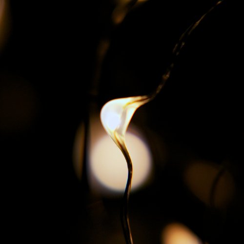 100 LED String Lights, 32 Feet, Silver Wire, Warm White, Plug-in, Indoor-Outdoor, 5V DC Transformer - color: Warm White