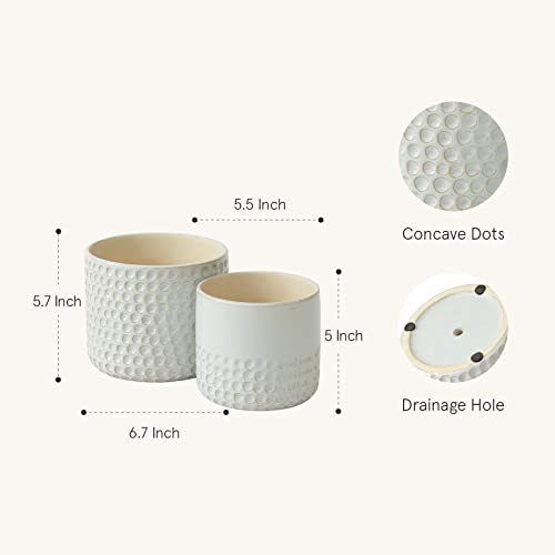 LA Jolie Muse Ceramic Plant Pots, Flower Pots for Indoor Plants, Set of 2 - color: Glacier Gray