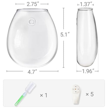 Dahey Wall Propagation Vases, 4 Pack Oblate Borosilicate Glass Planters