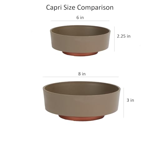 The HC Companies 6 Inch Round Plastic Succulent Capri Bowl 6"x6"x2.25" in Artisan Taupe with Copper Bottom Color - color: Artisan Taupe, size: 6"