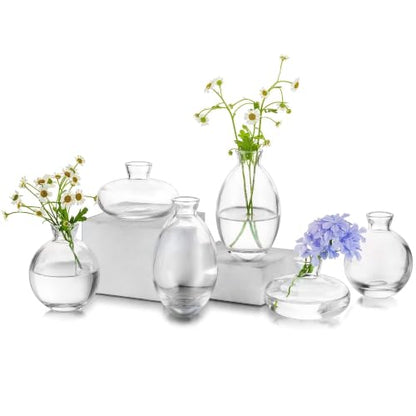 Glasseam Glass Bud Vase for Centerpieces, 6Pcs Clear Small Flower Vase Set - color: Clear, size: 2 Sets