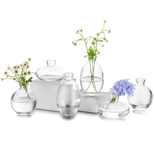 Glasseam Glass Bud Vase for Centerpieces, 6Pcs Clear Small Flower Vase Set - color: Clear, size: 2 Sets