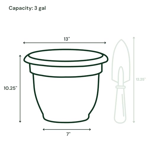 Bloem Ariana 12" Plastic Self-Watering Planter, Dusty Rose, 2-Pack - color: Dusty Rose, size: 12" (Pack of 2)