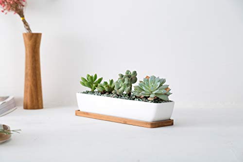 SeaStar Long Rectangular White Ceramic Succulent Planter Pot with Bamboo Tray,Perfect for displaying Succulent Arrangements on Desk, Window sill and Office Table. Plants not Included.