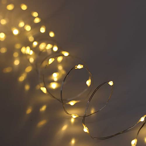 QBIS Warm White Christmas Lights Battery Operated, 40 Micro LEDs 6.5ft - size: 1PK-40 Warm White