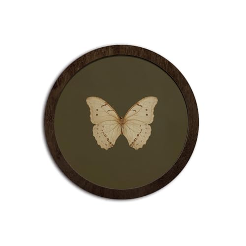 CFFJLHN Green Butterfly Wall Art Decor, Bedroom Round Wooden Wall Art Vintage Butterfly Moth Framed Prints, Retro Cottagrcore Round Wall Hanging Decor for Bedroom Home Decorations, 10x10 Inch - color: Butterfly