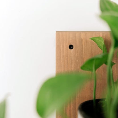 Daniel's Plants 3-Pack Mid-Century Modern L-Shaped Floating Shelves | Solid Wood Plant Ledge | Wall Mounted Shelf Kit (Prairie Sand) - color: Prairie Sand