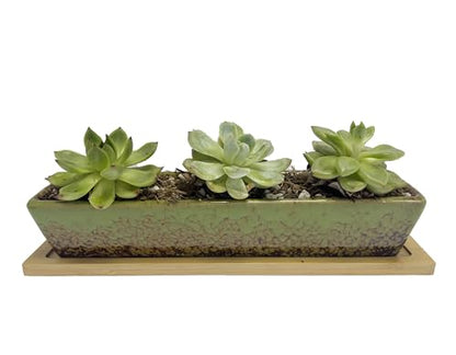 9.8inch Green Long Rectangle Ceramic Succulent Planter Pot,one Set of Mini Flower Plant Container with Bamboo Saucers. Product Size:9.8x2.35x1.77inch,not Include The Plant. - color: Green