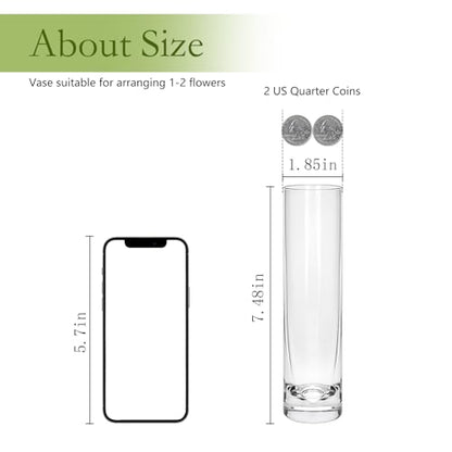7.48 inch Tall Vases for Flowers,12PCS Glass Cylinder Vase,Bud Vase