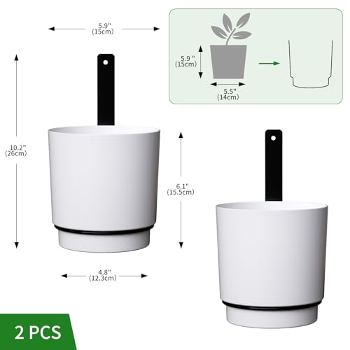 2 Pcs Wall Mounted Hanging Planter Vase for Indoor Outdoor Plants,Modern Metal Wall and Ceiling Hanging Flower Pot with Removable Flower Pot,Minimalist Decor for Herbs Succulents Flowers,5.9Inch,White - color: White, size: 5.9Inch