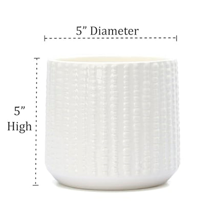 Ceramic Planter Pot with Drainage Hole, 5 Inch Dia, Indoor and Outdoor, Home Patio Garden, Plants&Flowers, Textured Round (White) - style: Textured Round-White