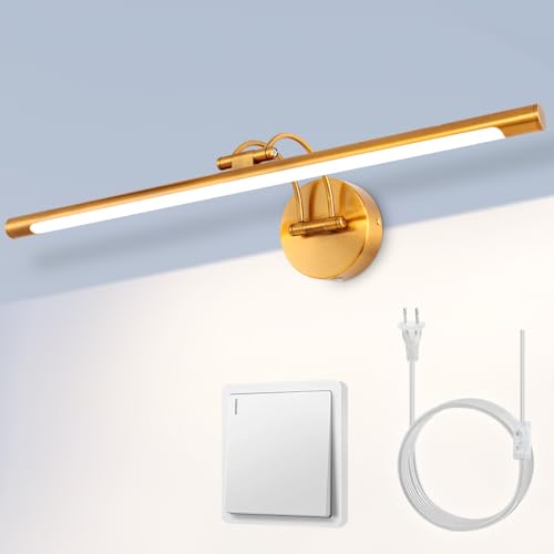 MantoLite 24'' Picture Lights for Wall,Vanity Lights for Bathroom - size: 24inch no-dimmable