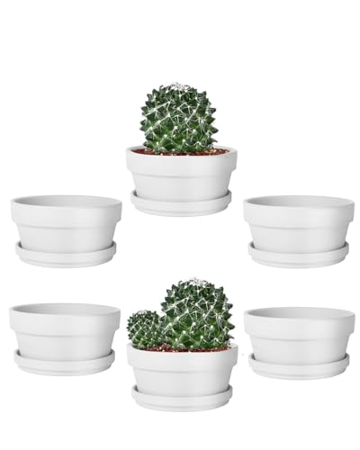 vensovo 5.7 Inch White Terracotta Succulent Pots with Saucers, 6 Pack - color: White, size: 5.7 Inch