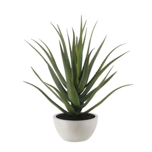 CG Hunter, Faux Agave Plant, 31.5 in, Natural, Home Decor - size: 31.5" Agave